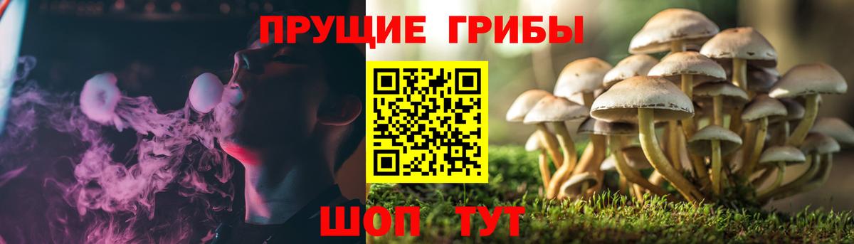 Псилоцибиновые грибы GOLDEN TEACHER  Галлюциногенные грибы мухоморы  Вход с VPN  Заволжье 