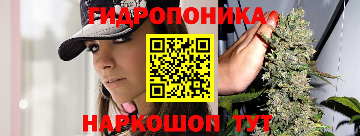 Бошки Шишки марихуана  Бошки Шишки THC 21%  Заволжье  Вход с VPN  МАРИХУАНА OG Kush 